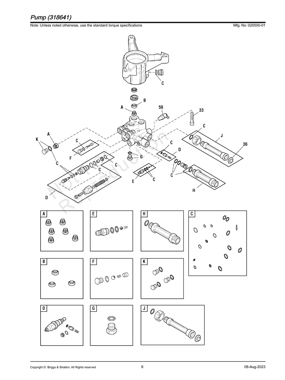 BRIGGS AND STRATTON, 020500-01, IPL.6